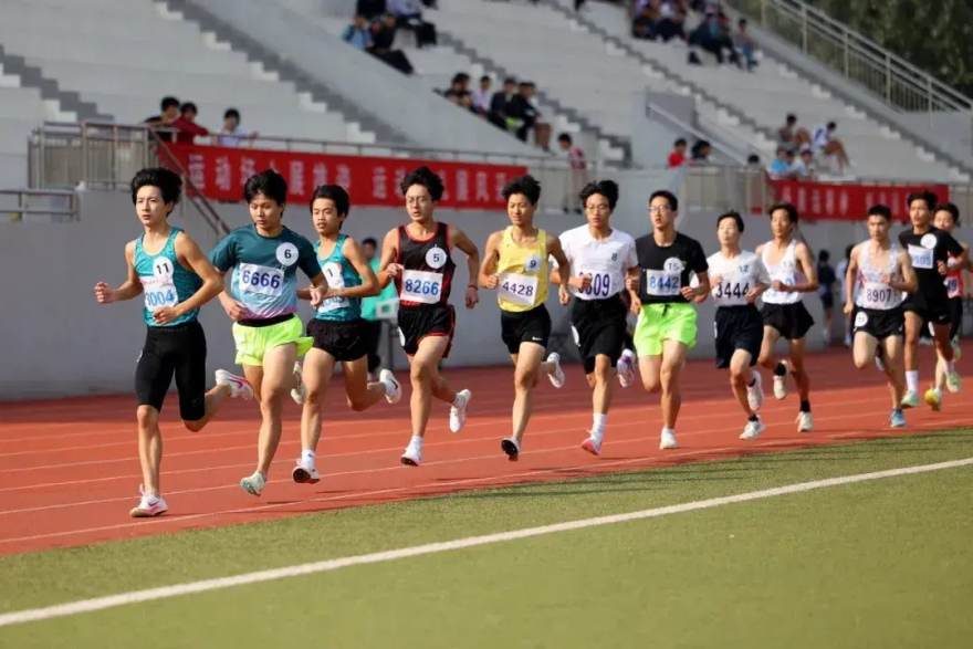 PG直营站 从场馆到看台：2026赛季场馆数字化改造的五类实践盘点